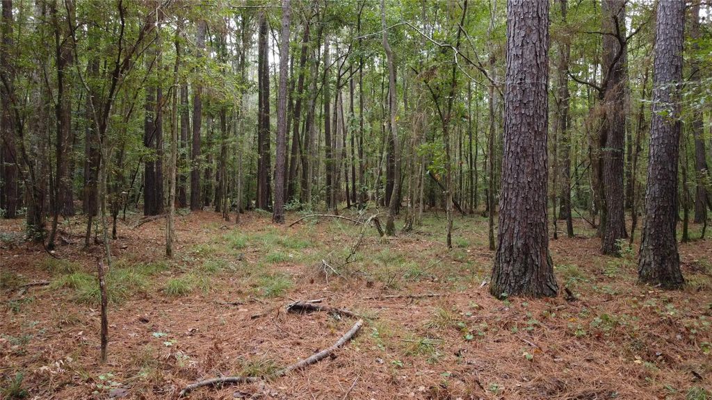 Tbd County Road 405, San Augustine