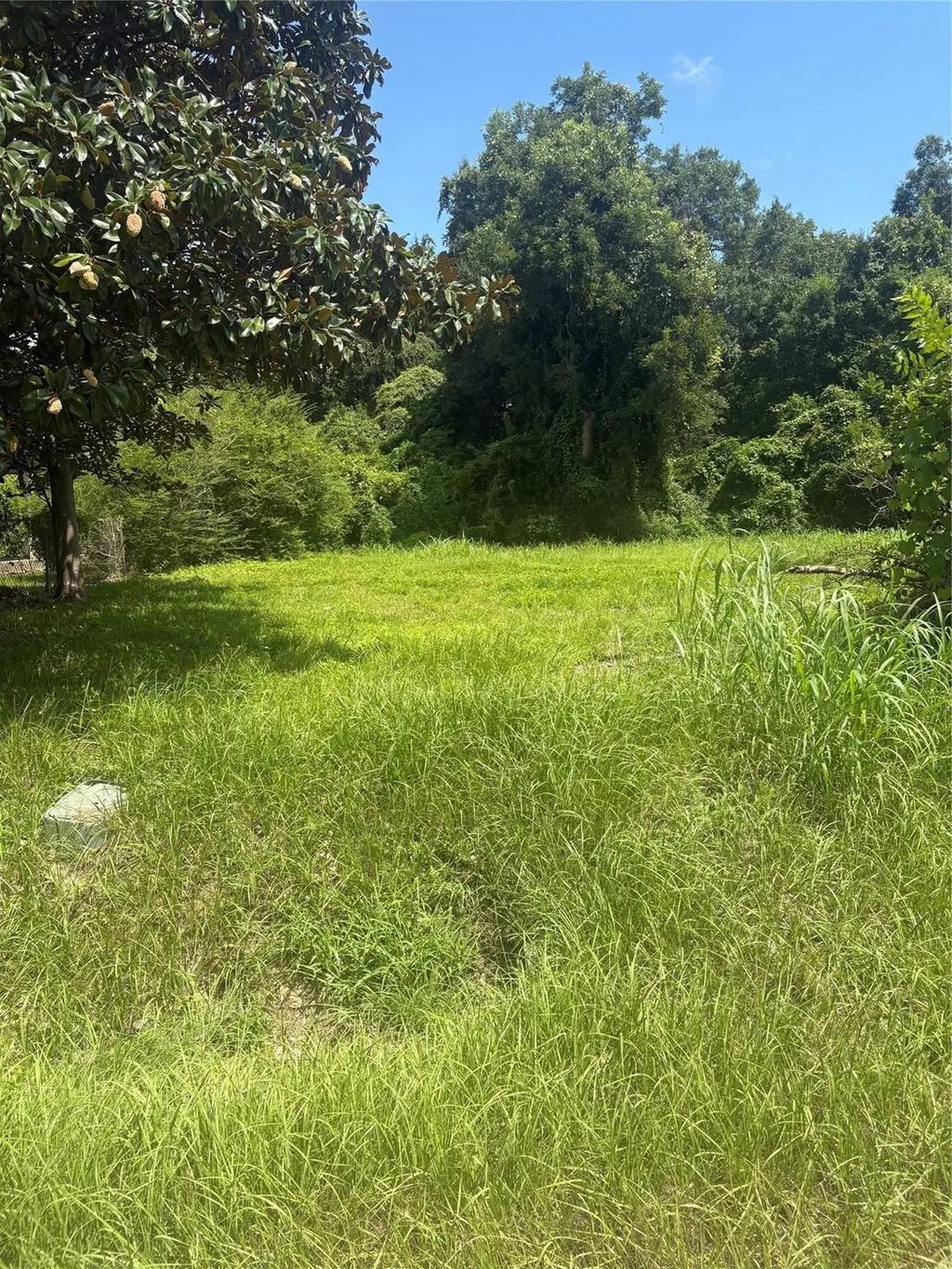 225 E Delaware Street, Beaumont