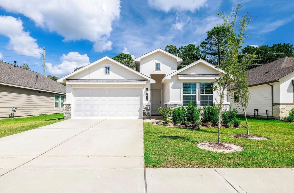 10112 Basil Beebalm Trail, Magnolia