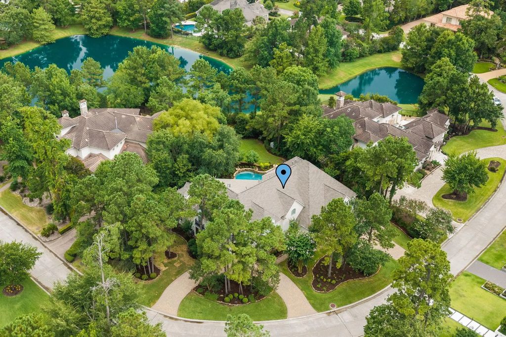 39 N Palmiera Circle, The Woodlands