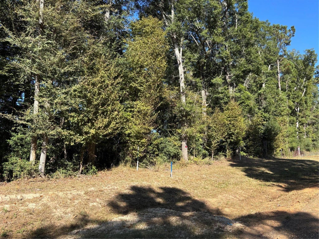 L C Herschap Lane, Livingston