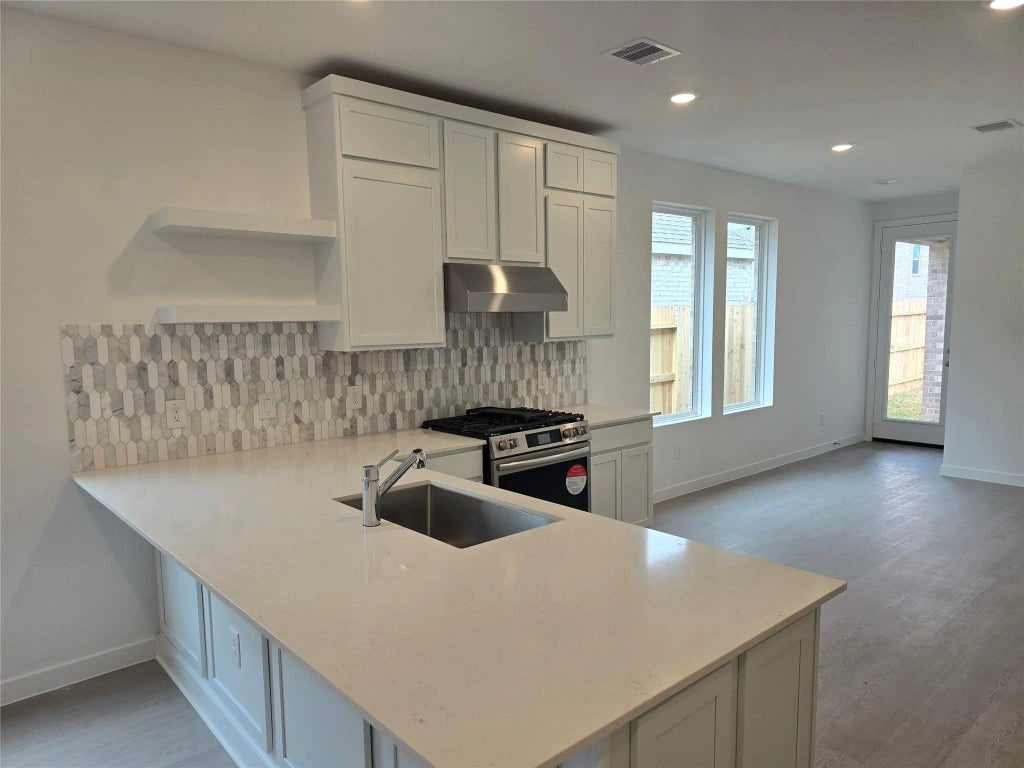 1103 Blue Stone Drive, Beasley