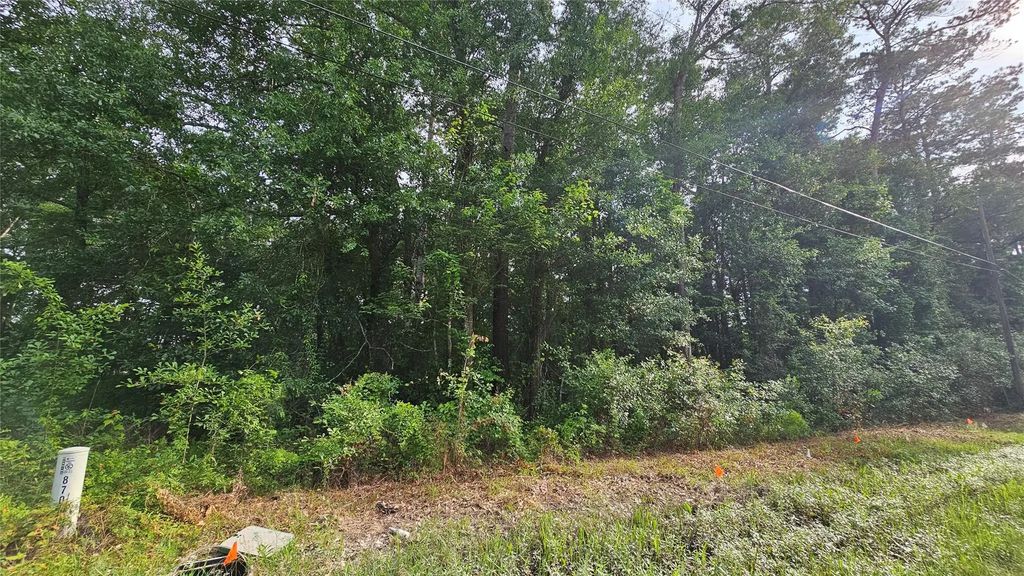 26750 & 26698 Peach Creek Drive, New Caney