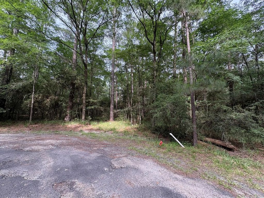 Tbd N Clear Spring Road, Trinity