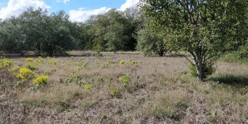1700 Jackson Road, La Grange