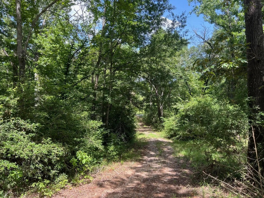 11 Ac Pr 2205, Buffalo