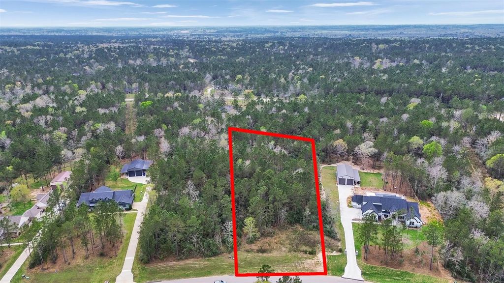 10752 Ruger Road, Willis