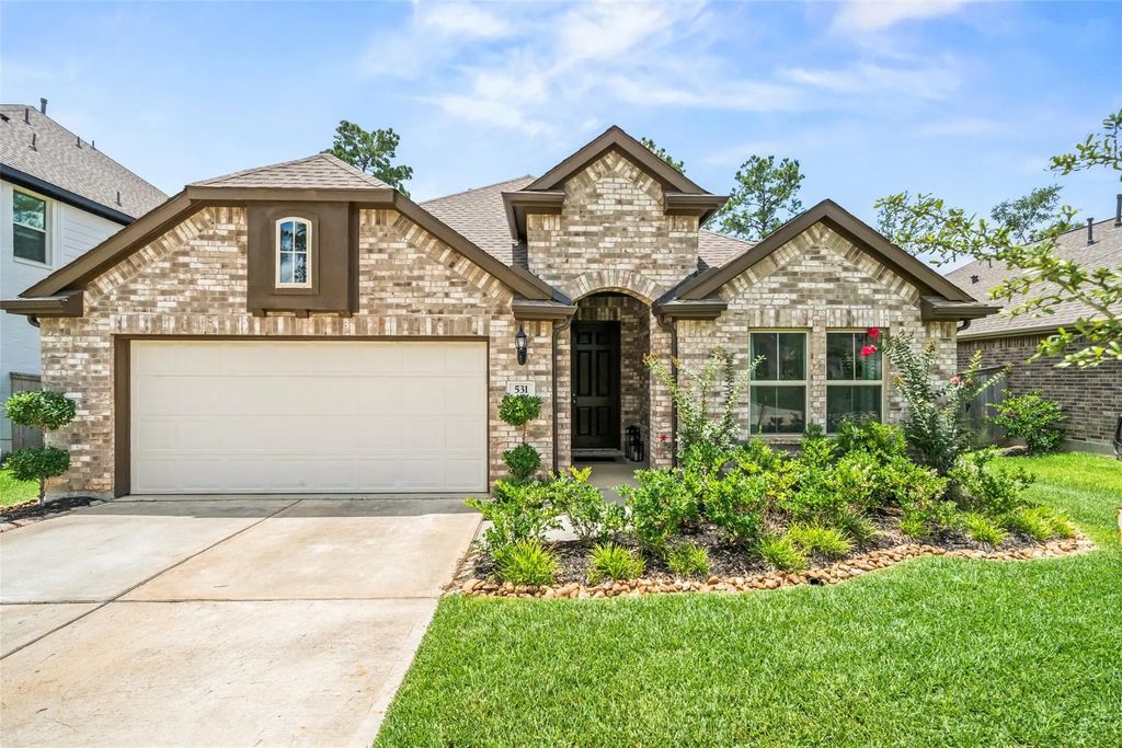 531 Carina Gaze Drive, Willis