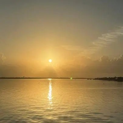 401 Lakeside Lane 203, Houston