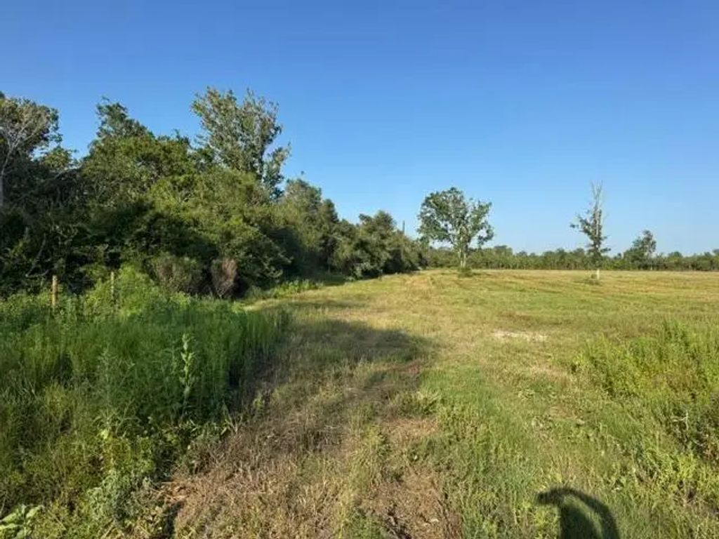 Fm 1462, Angleton