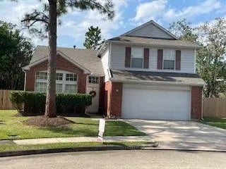 14202 Misty Knoll Court, Houston