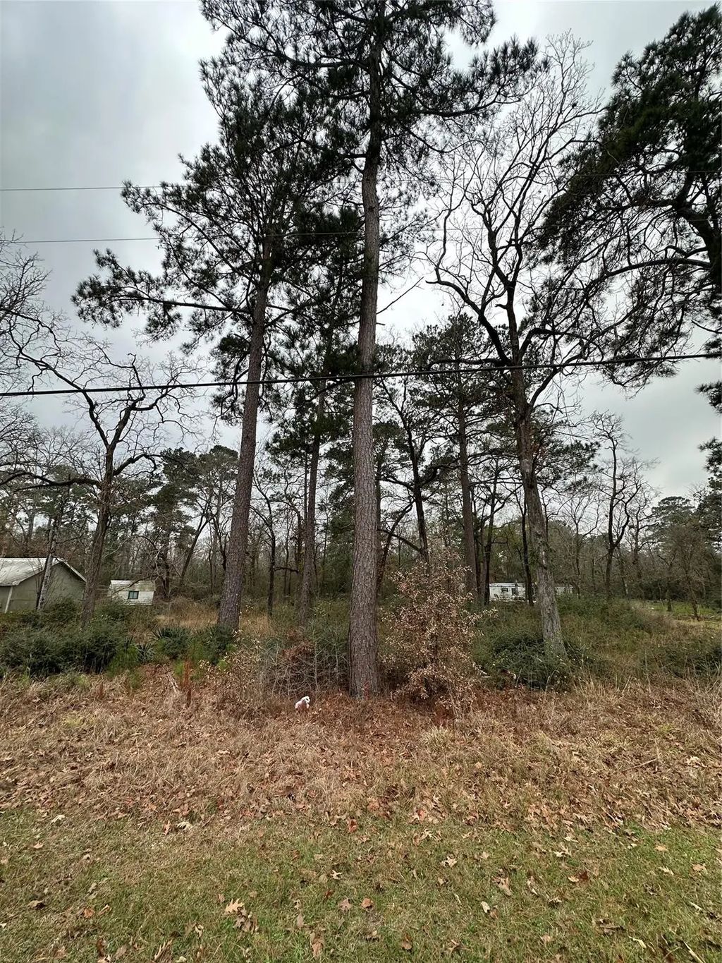 Tbd Mary Drive, Huntsville