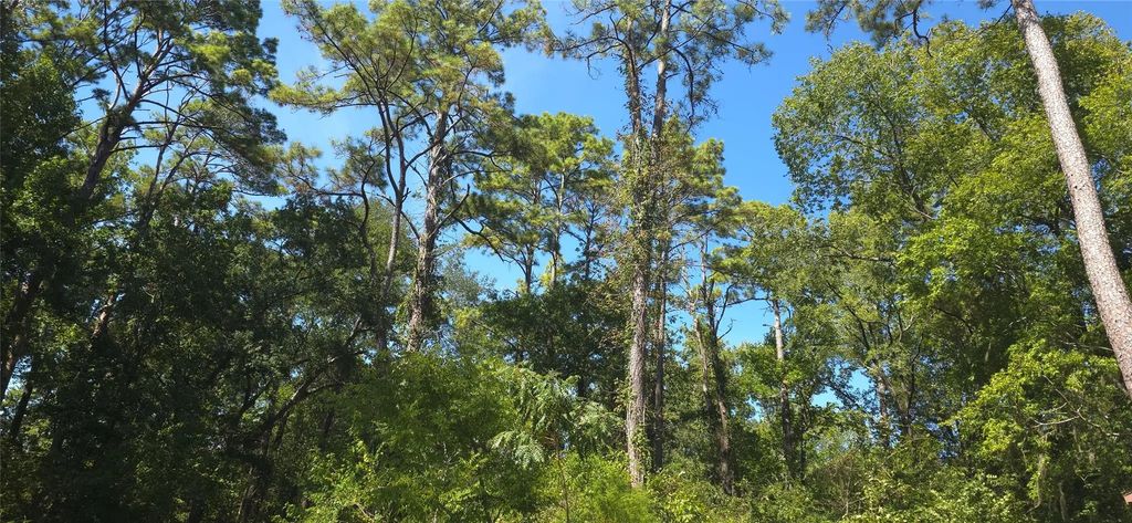 Tbd Cove Dr, Point Blank