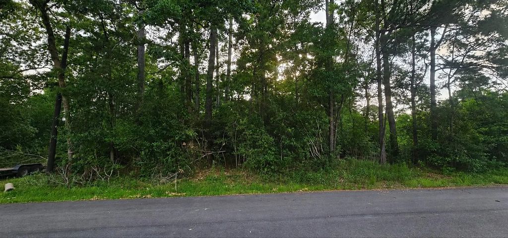 15715 Holly Drive Drive, Montgomery