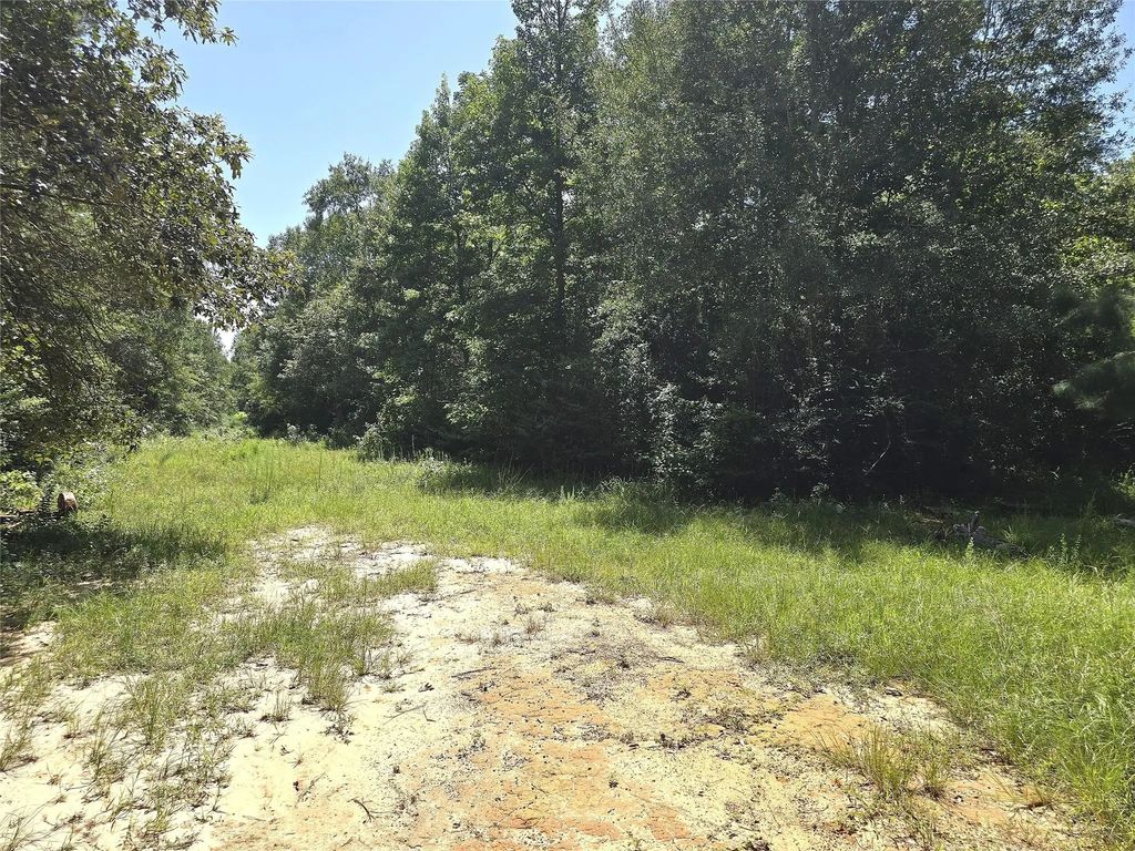1031 Plantation Drive, Livingston