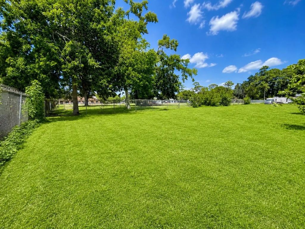 1035 Adolph Drive, Houston