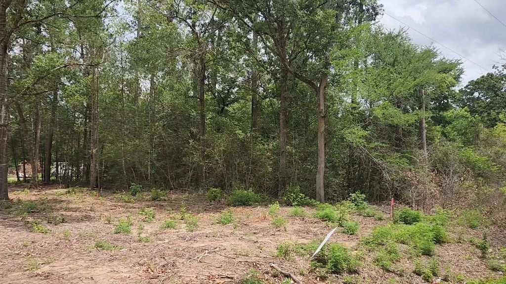Lot 10 B53 Sweetleaf Lane, Plantersville