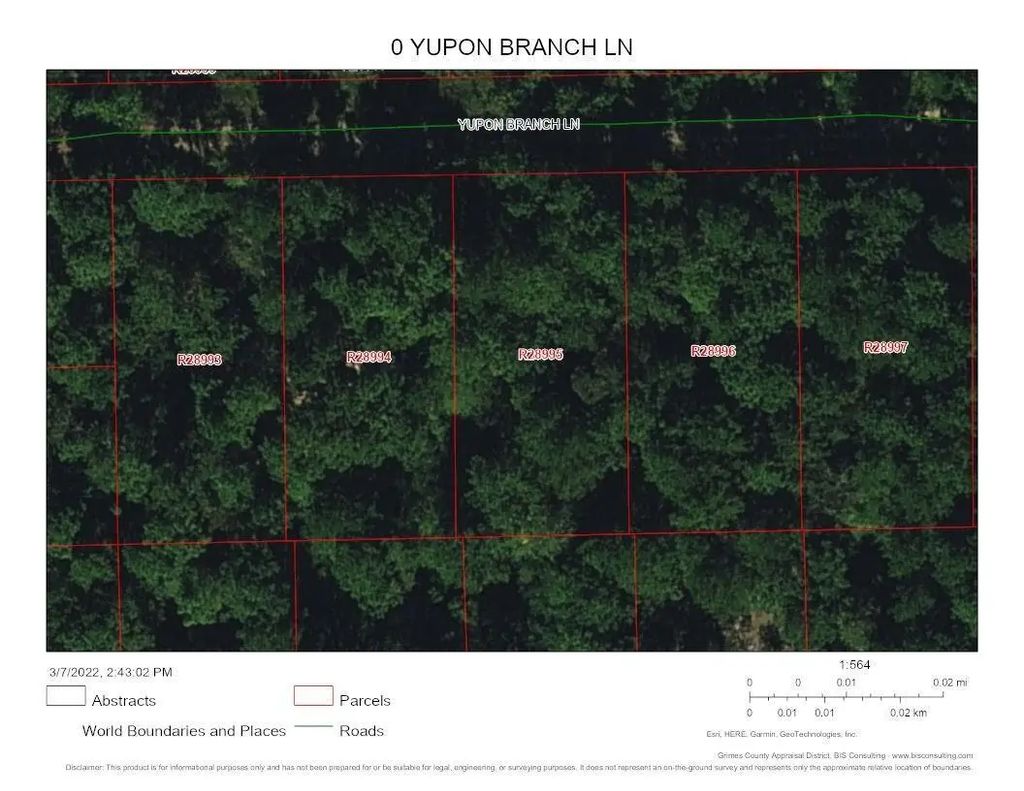 Yupon Lane, Plantersville