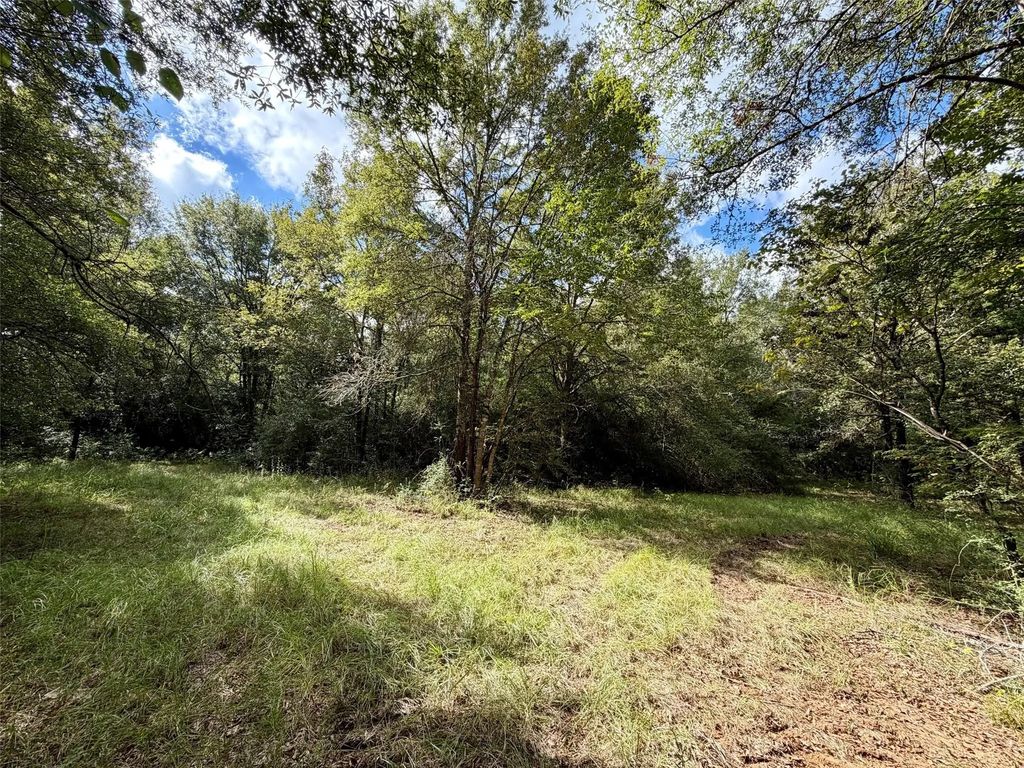 7217 Pr 2110, Centerville
