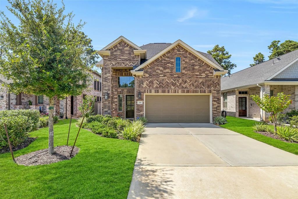 715 Lacebark Elm Trail, Willis