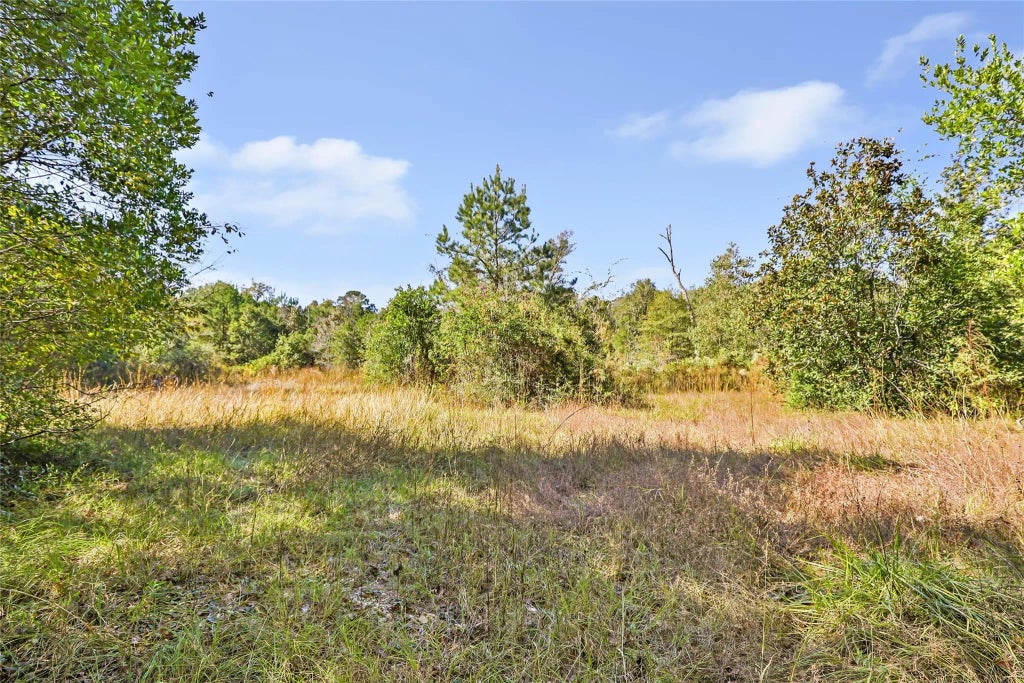 1224 Plum Pudding Road, Livingston