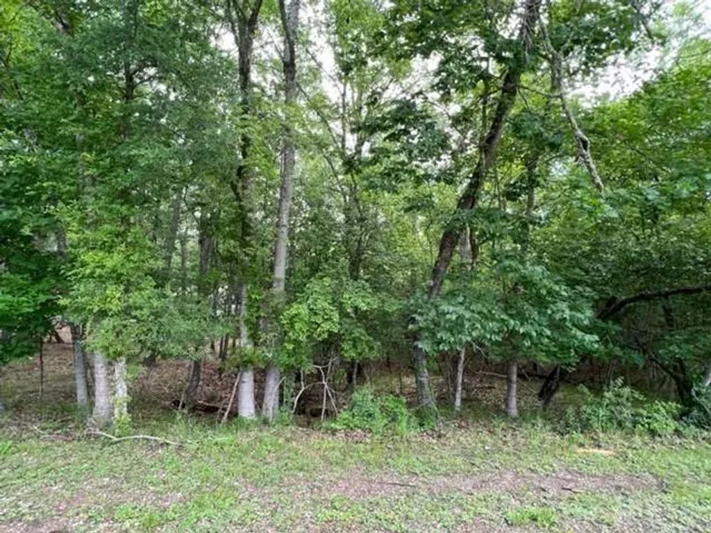 161 N Pine Harbour Drive, Coldspring