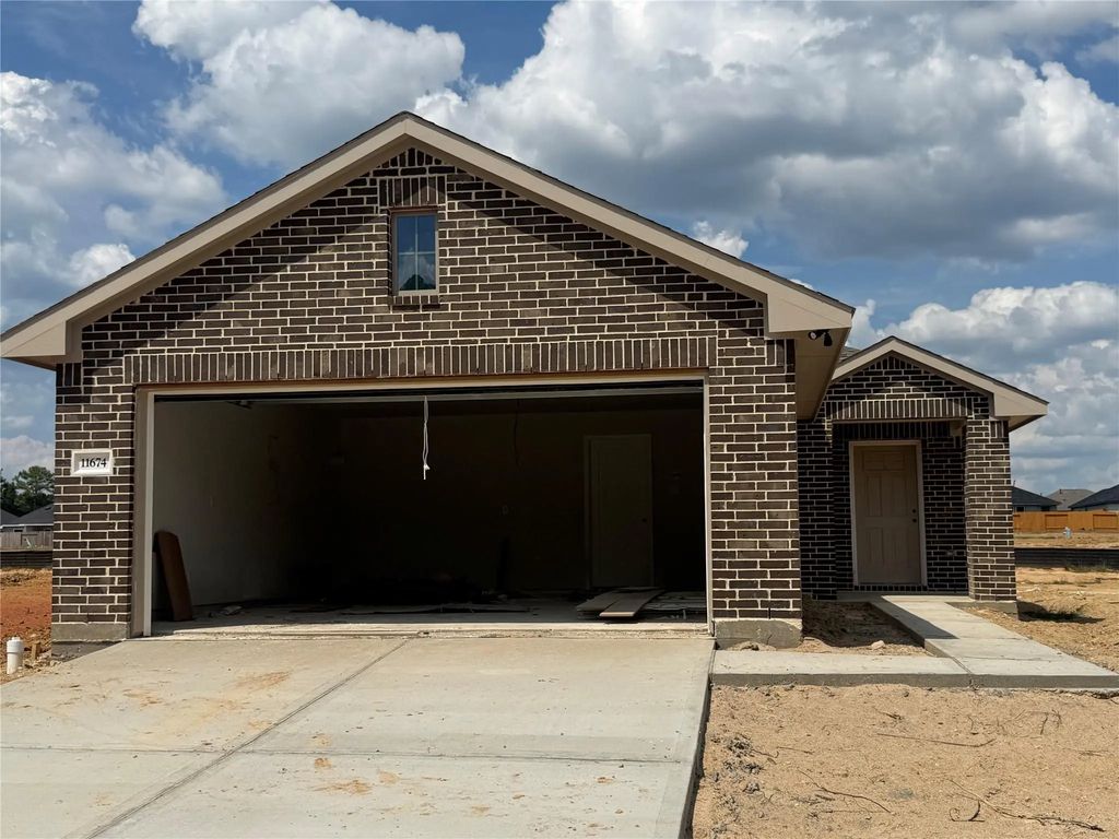 11674 Ruffian, Willis
