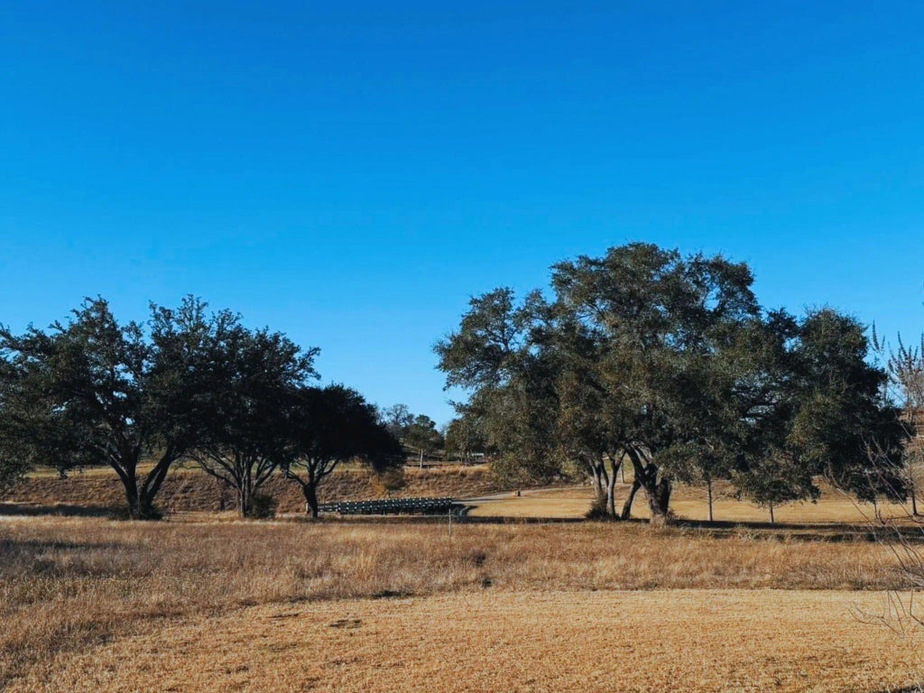 111 Mallard Lane, Columbus