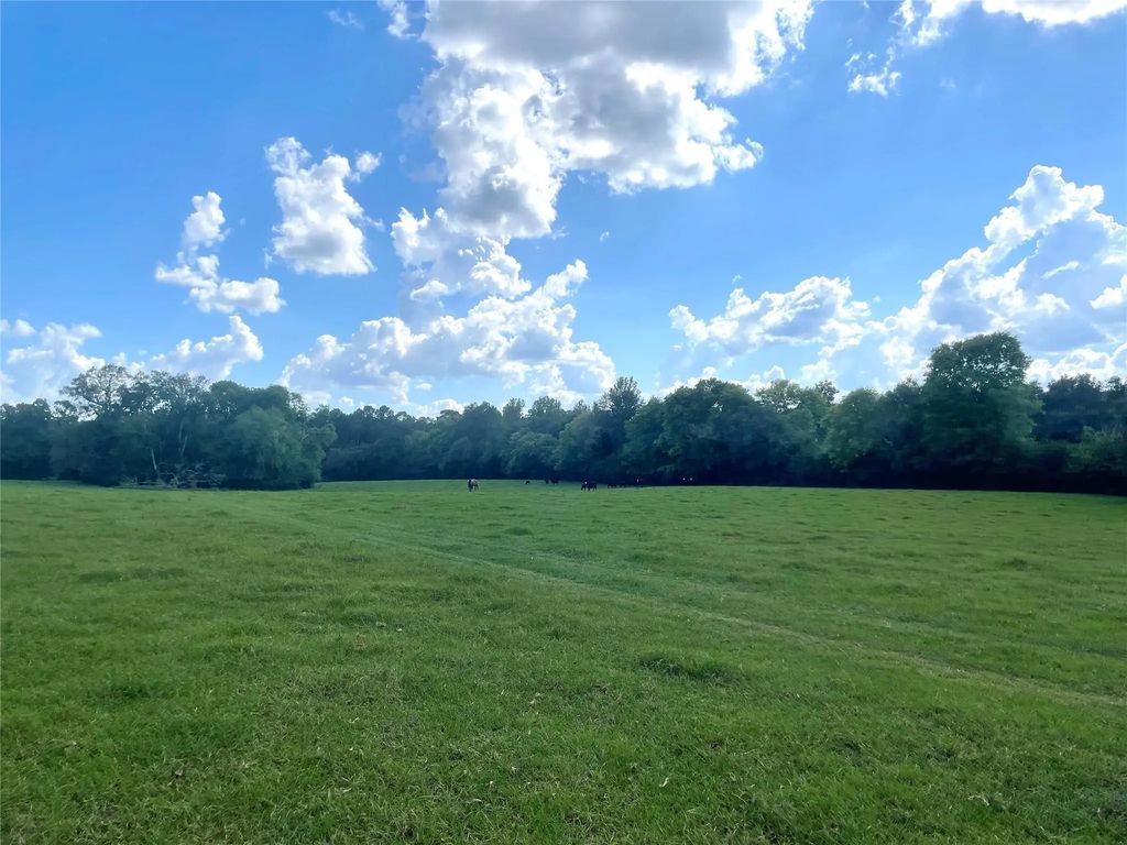 1135 Cr 419, Nacogdoches