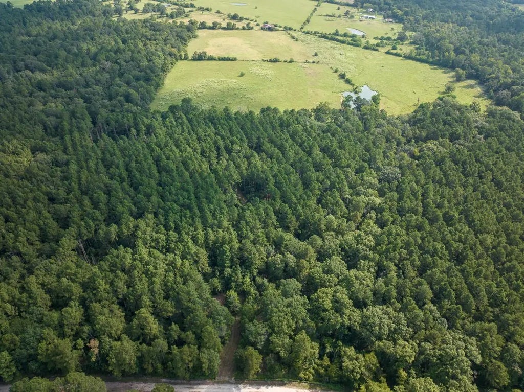 Tbd Joe Hudson Road, Groveton