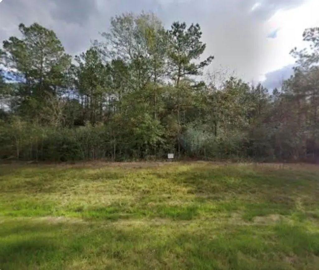 15678 Fire Sky Road, Willis