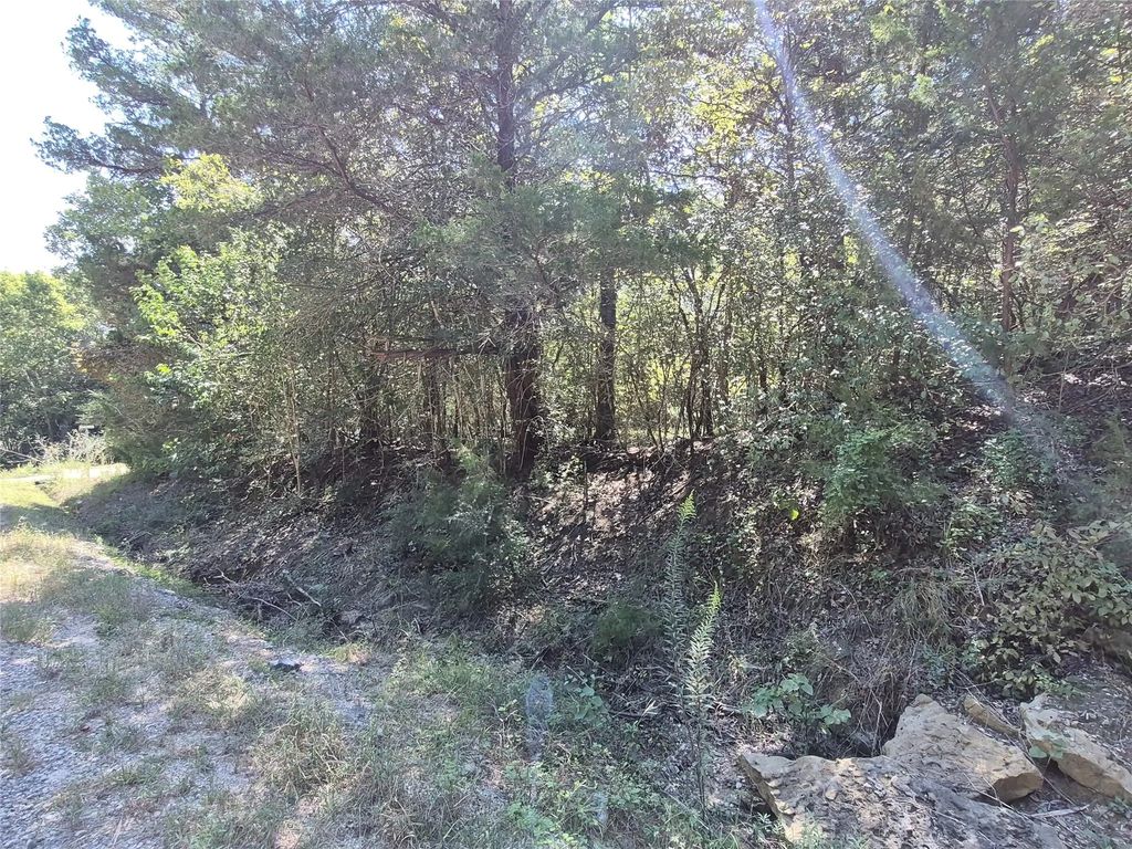Tbd Cedar Hilltop Dr, Coldspring