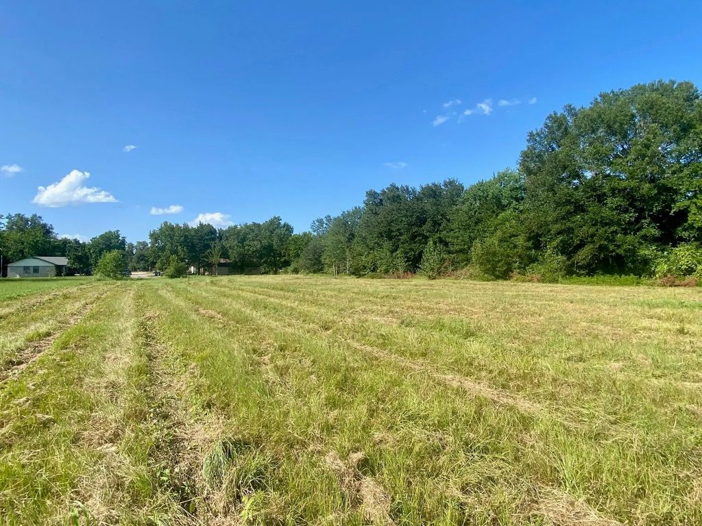 Lot #133 Jb Mcduff Drive, Crockett