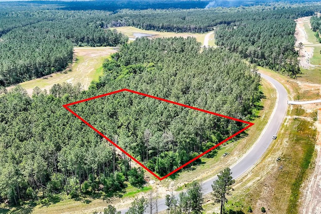 15469 Forest Grove Drive, Willis