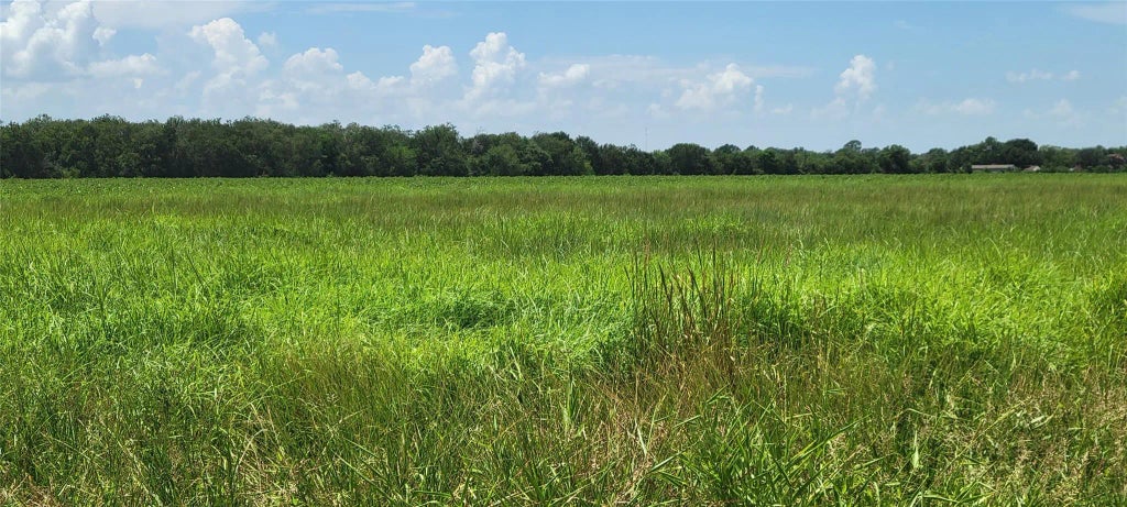 Whitetail Xing Crossing, Needville