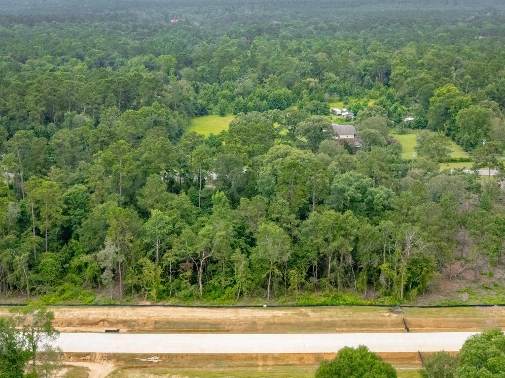 Lot 2, Block 8 Elmore Creek Drive, Willis