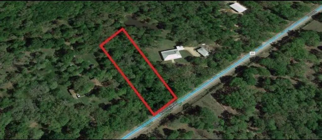 8301 Brazos River Road, Damon