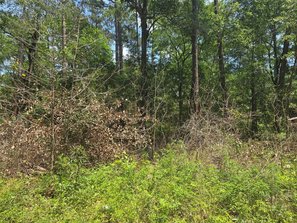 12949 Cedar Tree Court, Plantersville