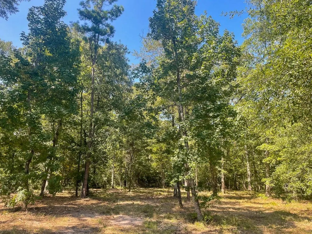 Union Springs Road, Corrigan