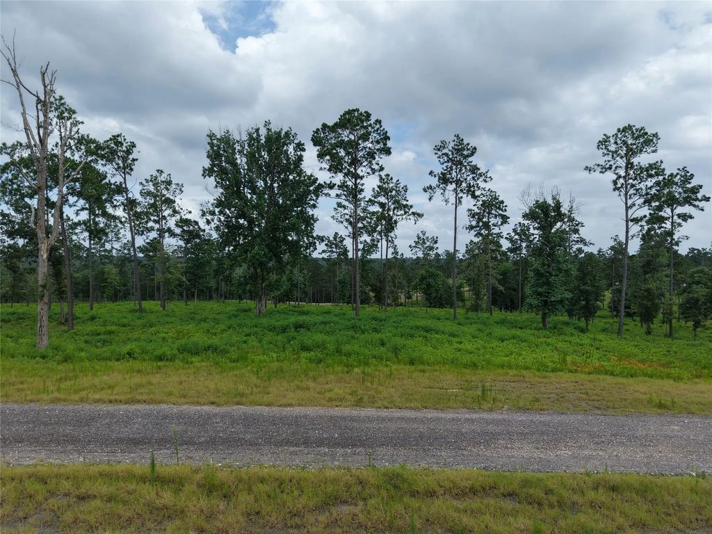 Lot 82 Grace Circle, Livingston