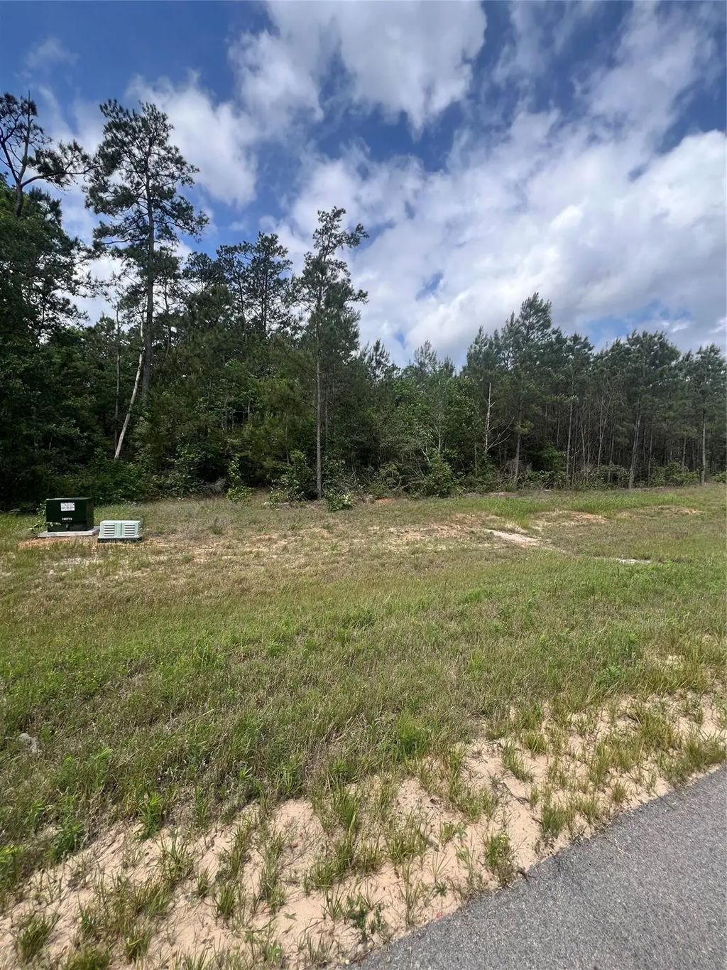 16229 Ridge Oak Road, Willis