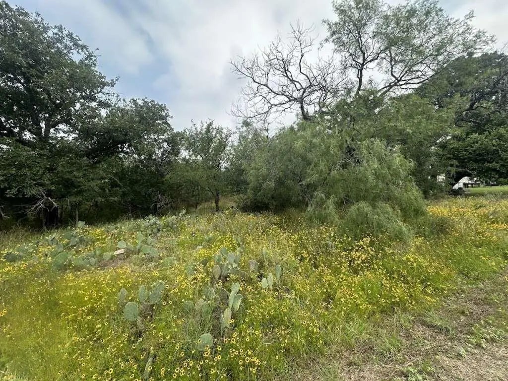 Glen Forest Drive, Granite Shoals