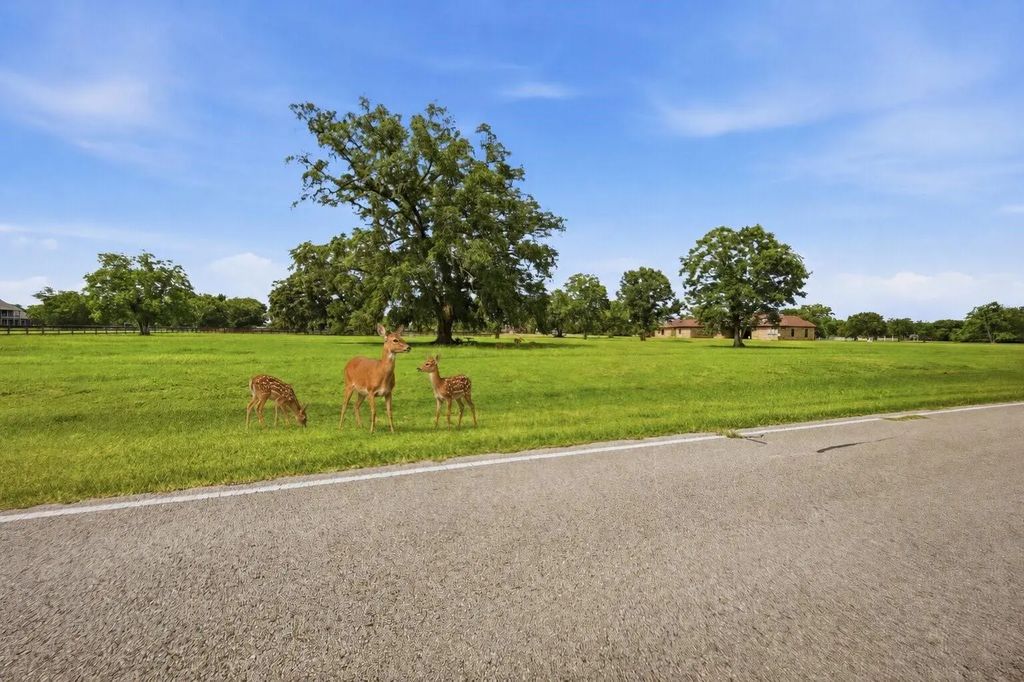 1011 W Fm 1462, Rosharon