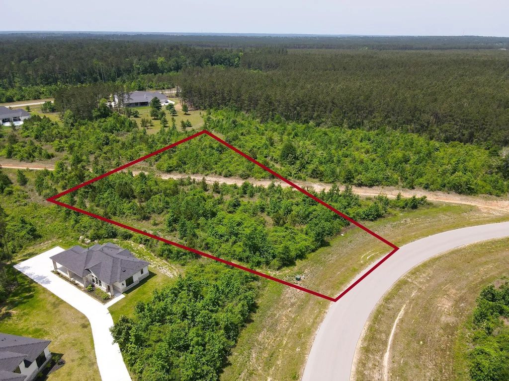 16089 Forest Mill Road, Willis