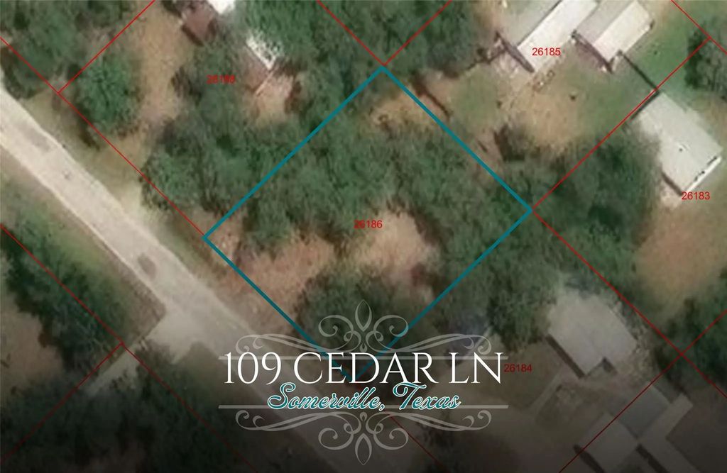 109 Cedar Lane, Somerville