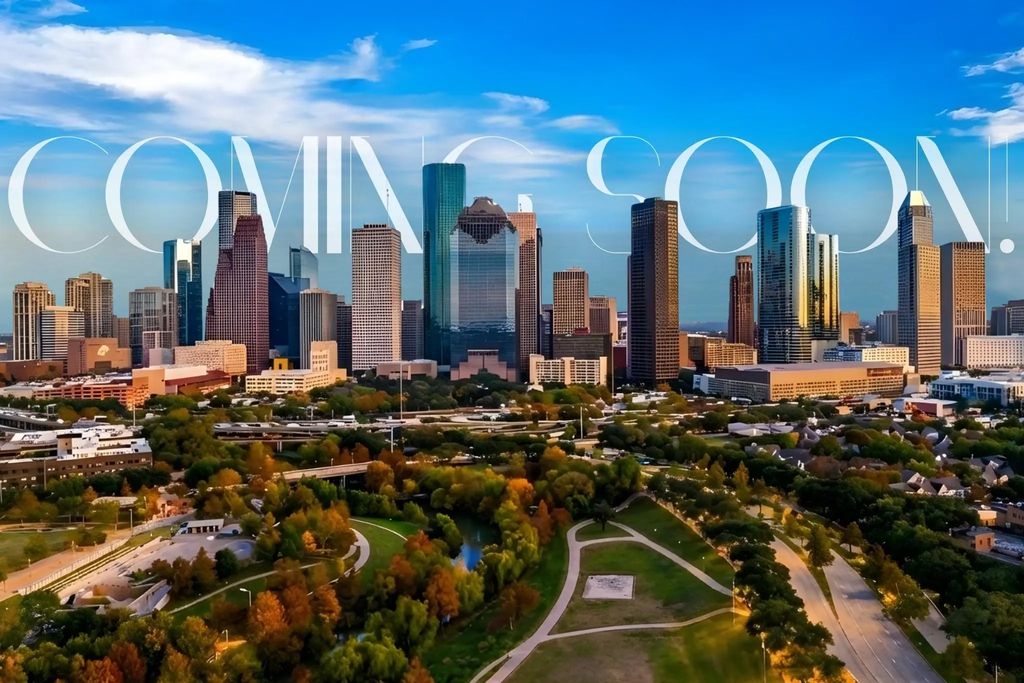 3501 Chenevert Street 15, Houston