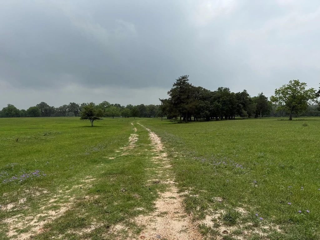 5719-4 Farm To Market 2238, Schulenburg