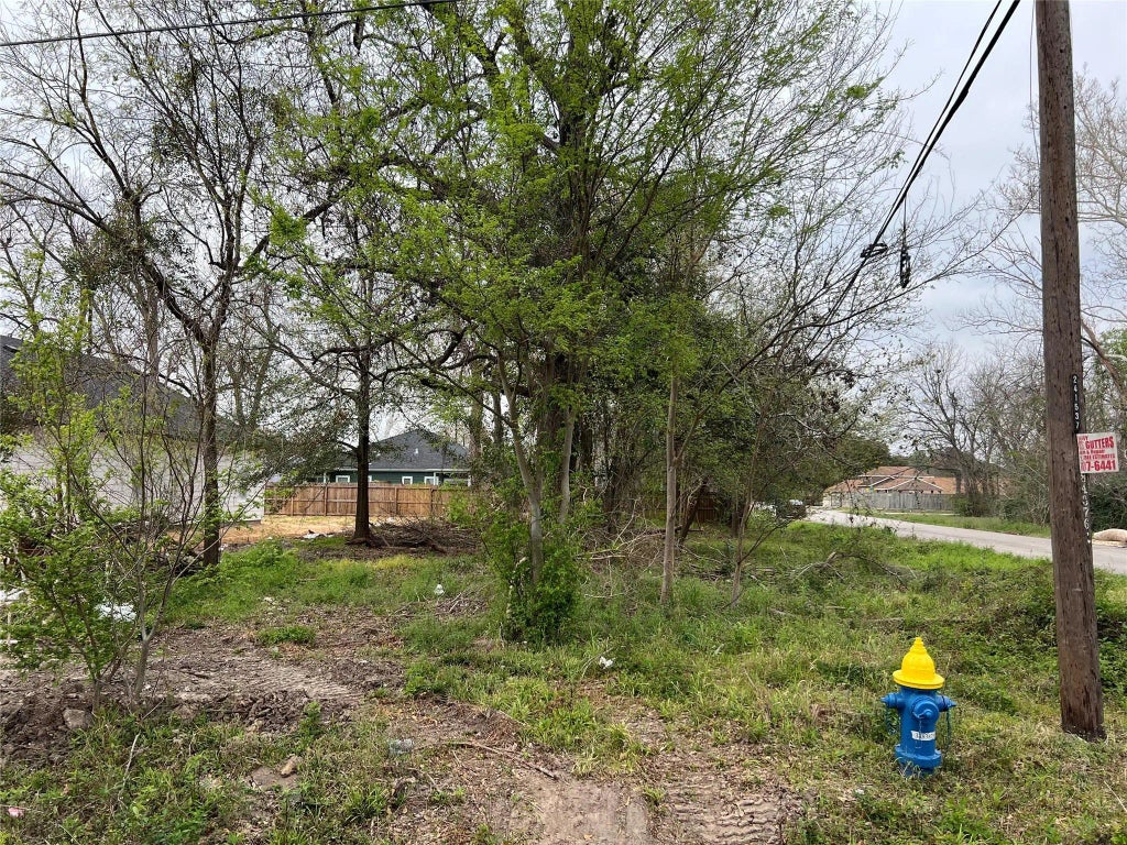 Observatory Street, Houston