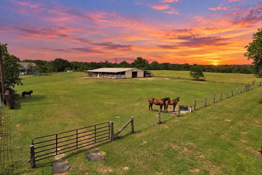 28136 Old Highway 105 W, Montgomery