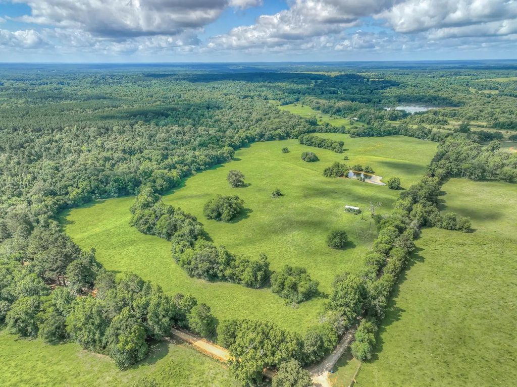 County Road 1750, Grapeland